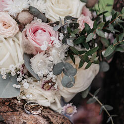 Wedding photo: Muamer Sarajlic, Vienna, Austria