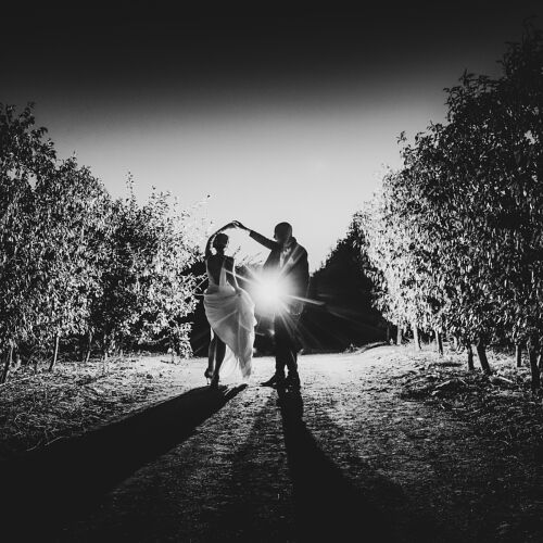 Poročna fotografija: bride and groom dancing, tree-lined vineyard path, backlit silhouettes, golden hour glow, couple twirling outdoors | Heinrich Knoetze, Cape Town, Južnoafriška republika