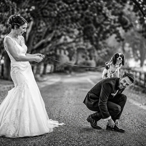 תמונת חתונה: Turkey | bride in white gown, groom crouching playfully, spaniel on leash, tree-lined avenue, black and white portrait, joyful wedding moment | Dr Saeed Arab, Istanbul, טורקיה