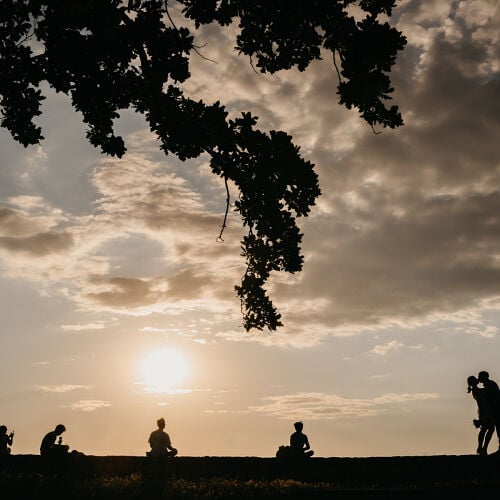 Wedding photo: silhouettes at sunset, couple kissing on horizon, group gathered on field, golden hour sky, hanging tree branches, people in backlit landscape | Rale Petronijevic, Zlatibor, Serbia