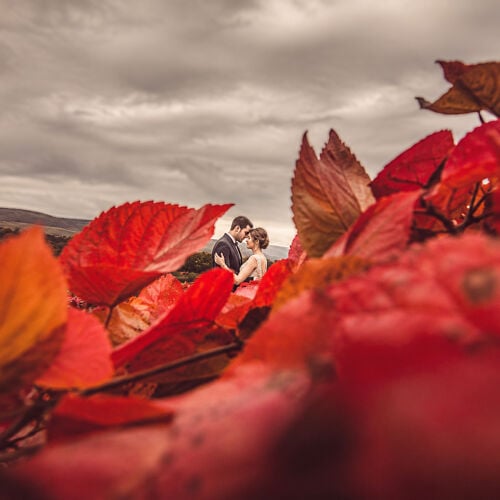 תמונת חתונה: Turkey | couple kissing among red autumn leaves, bride and groom in fall foliage, overcast sky wedding day, red leaves foreground blur | Dr Saeed Arab, Istanbul, טורקיה