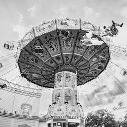 Wedding photo: Eni Schmotzer, Vienna, Austria