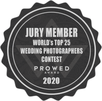 Jury member of the paid annual contest
