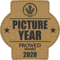 picture year