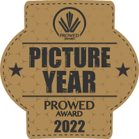 picture year