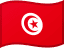 Flag of Tunisia