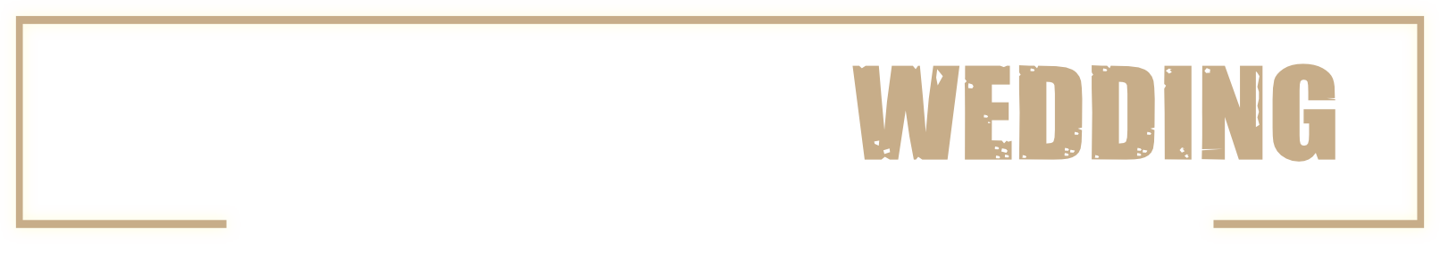 THE WORLD OF WEDDING PHOTOGRAPHERS
